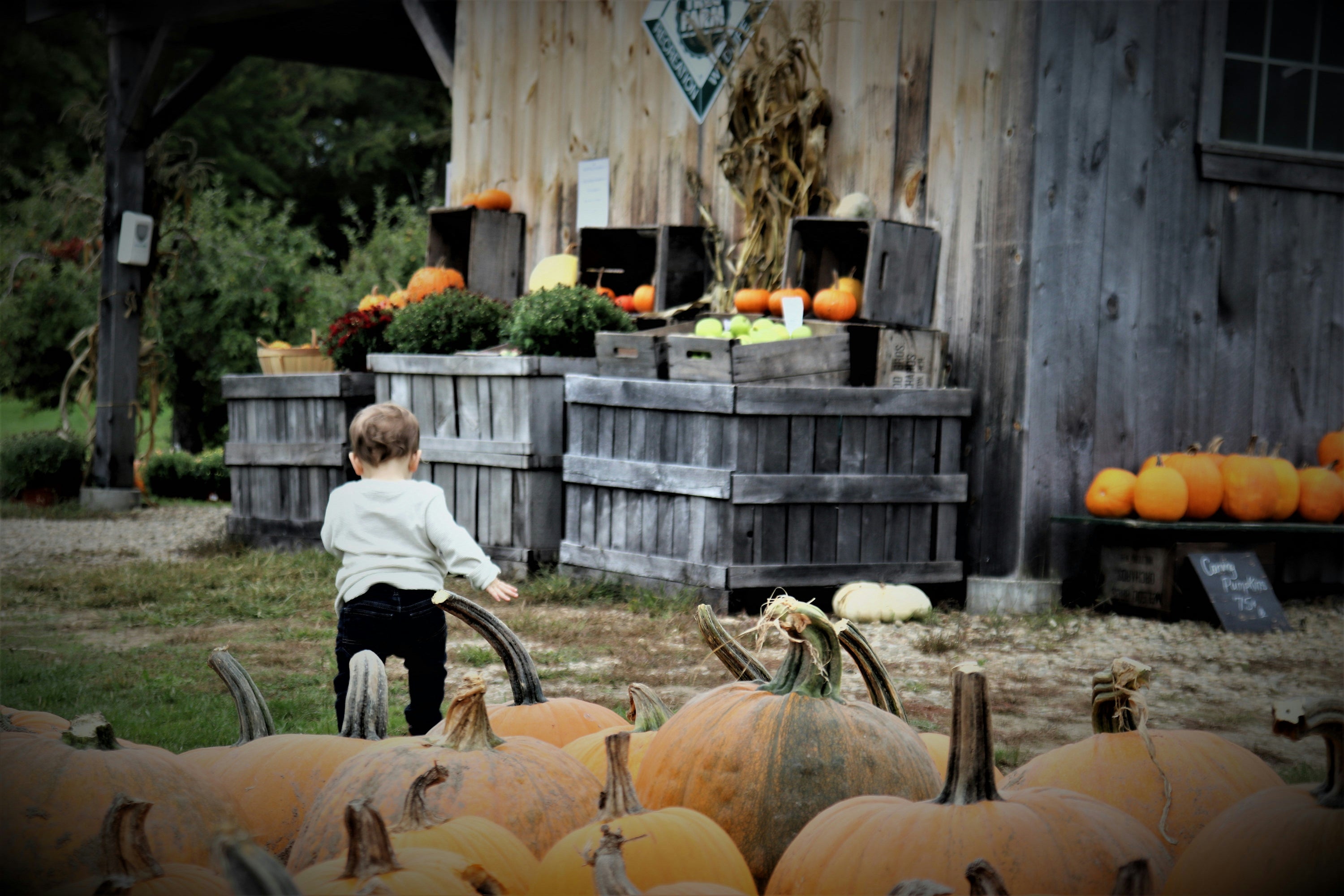 Der Herbst ist da